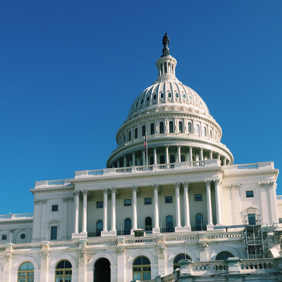 PLENty to do in&nbsp;D.C.