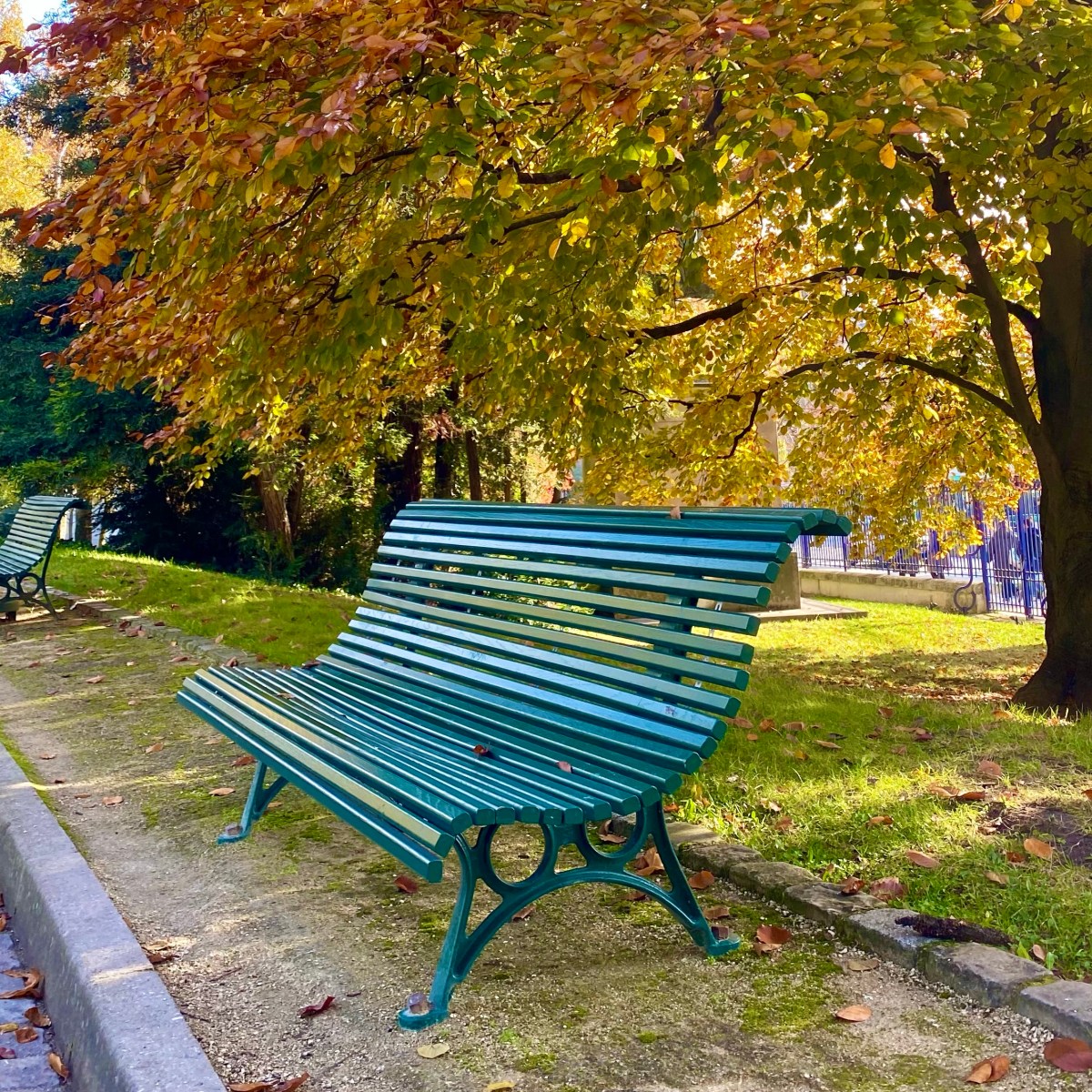 Frenchified Thanksgiving Traditions