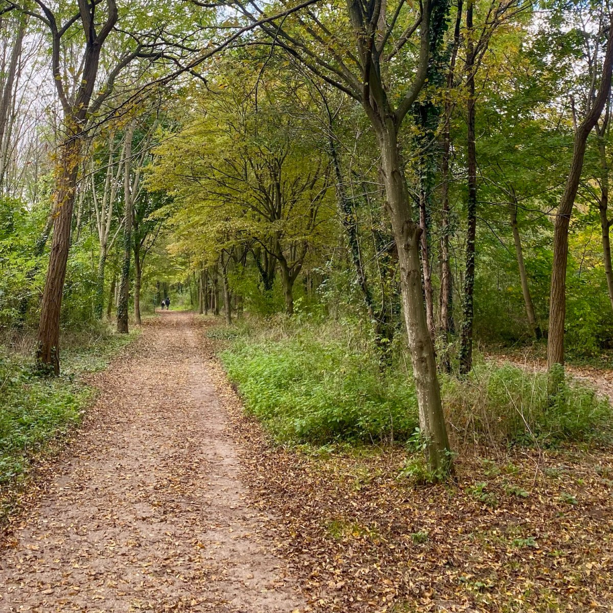How to Spend Halloween in&nbsp;Paris